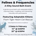 MEMBER HOSTED EVENT - VALENTINE'S DAY